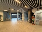 photo_low253861