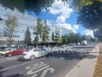 photo_low253722