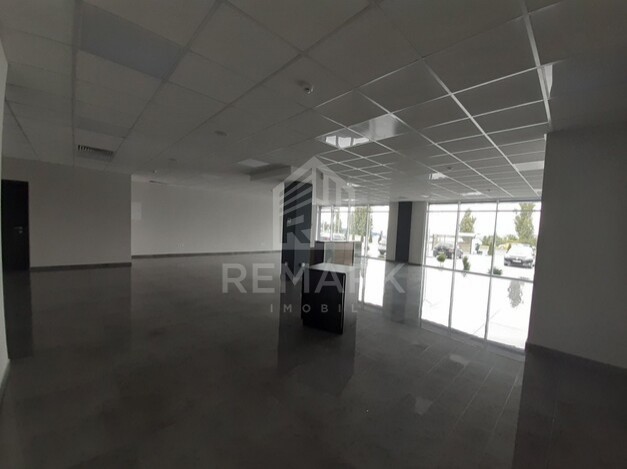 photo183620