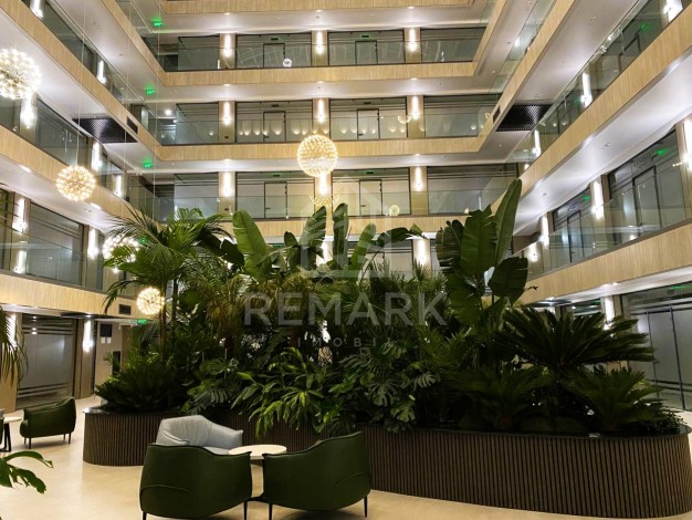 photo232182