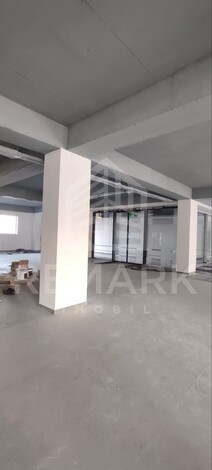 photo234189