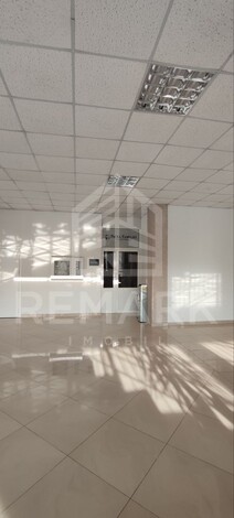 photo234207