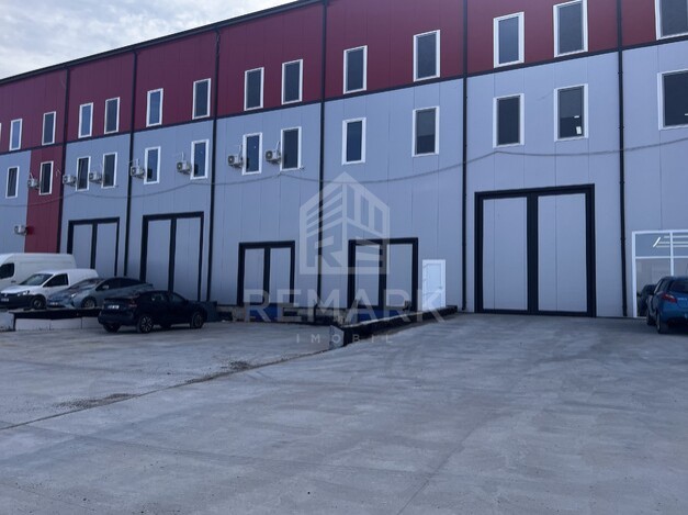 photo235210