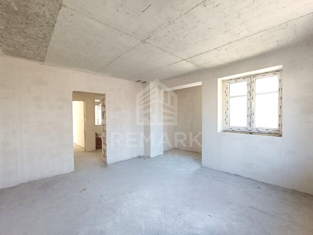 photo235529