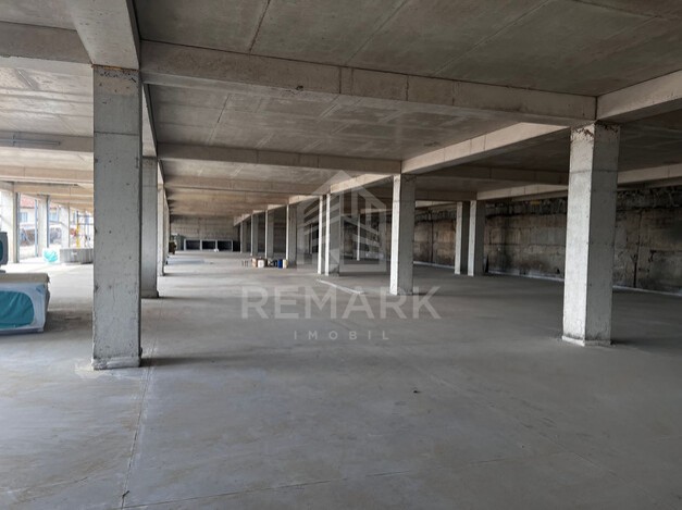 photo235826