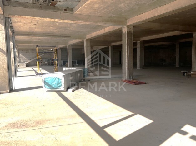 photo235889