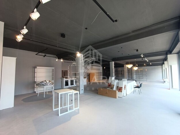 photo236370