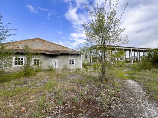 photo237540