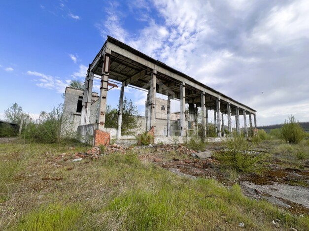 photo237542
