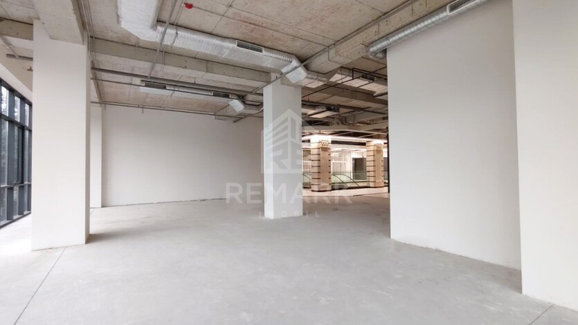 photo238282