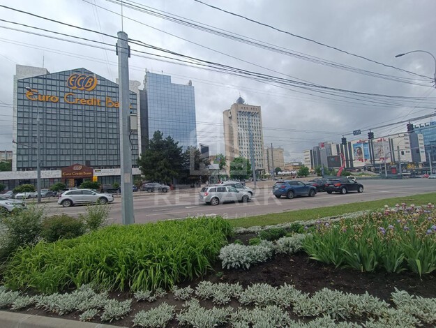 photo239584
