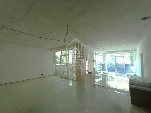 photo242284