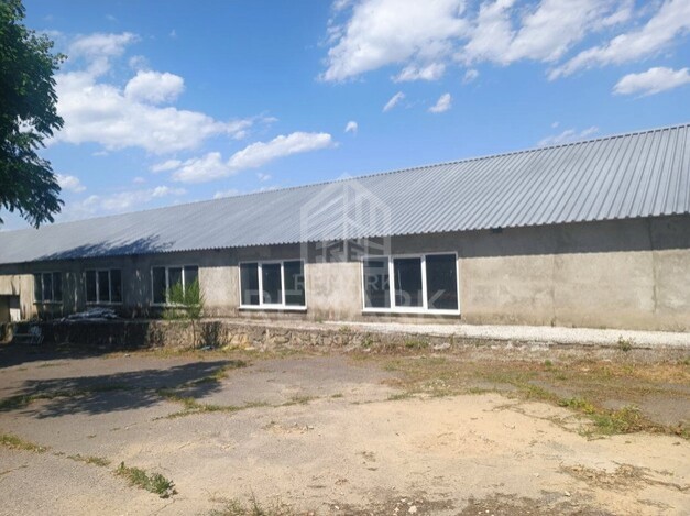photo242701