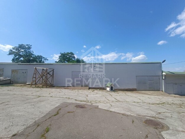 photo242703