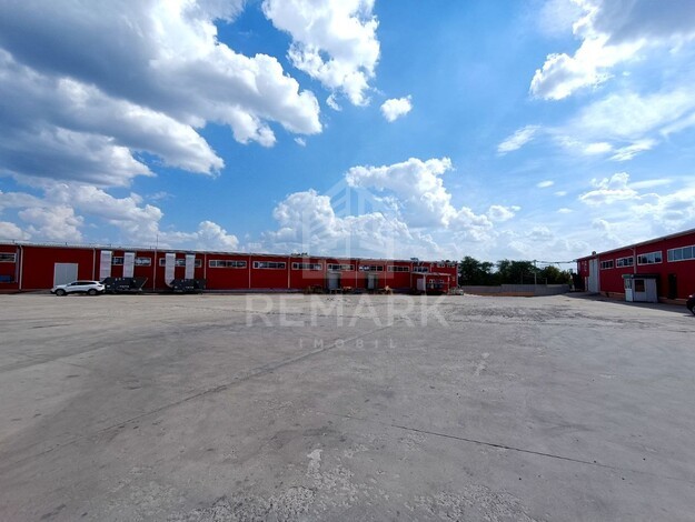 photo244385