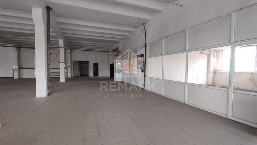 photo245164