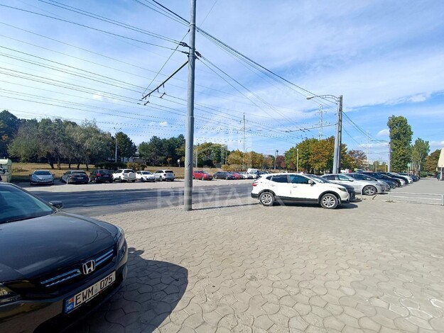 photo245559