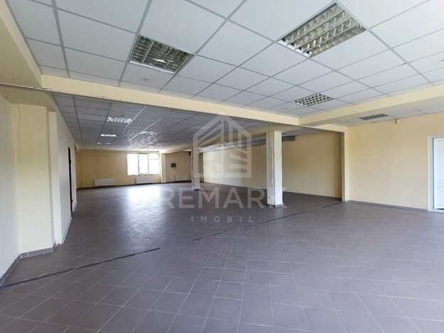 photo245565