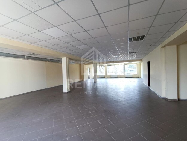 photo245562