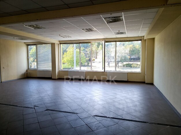 photo245561