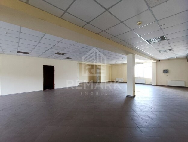 photo245563
