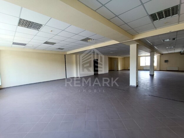 photo245566