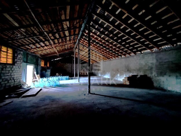 photo245696