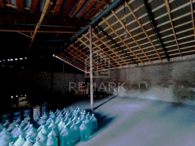 photo245697