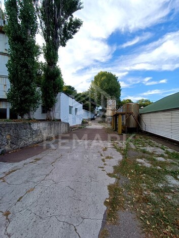 photo245702