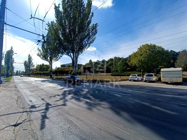 photo246030
