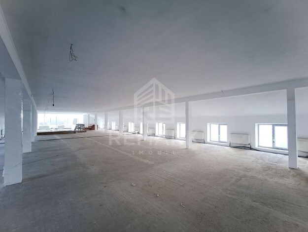 photo247542