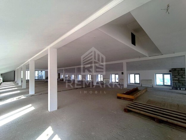 photo247547
