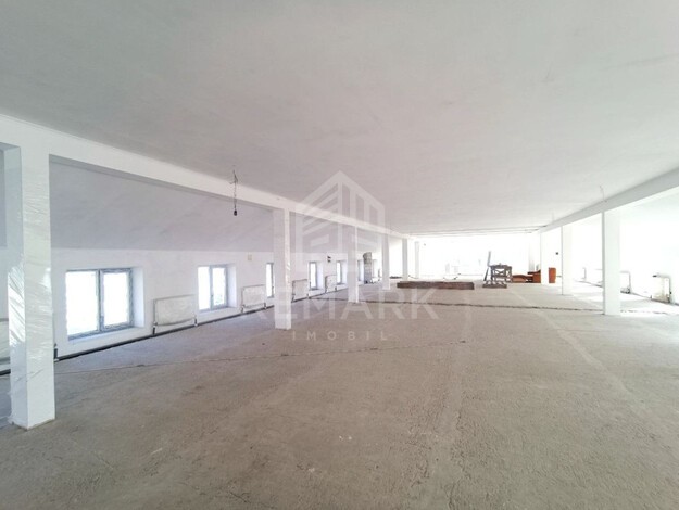 photo247543