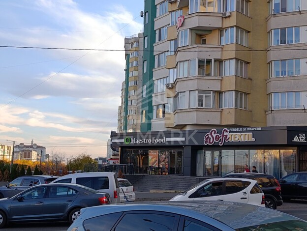 photo247642