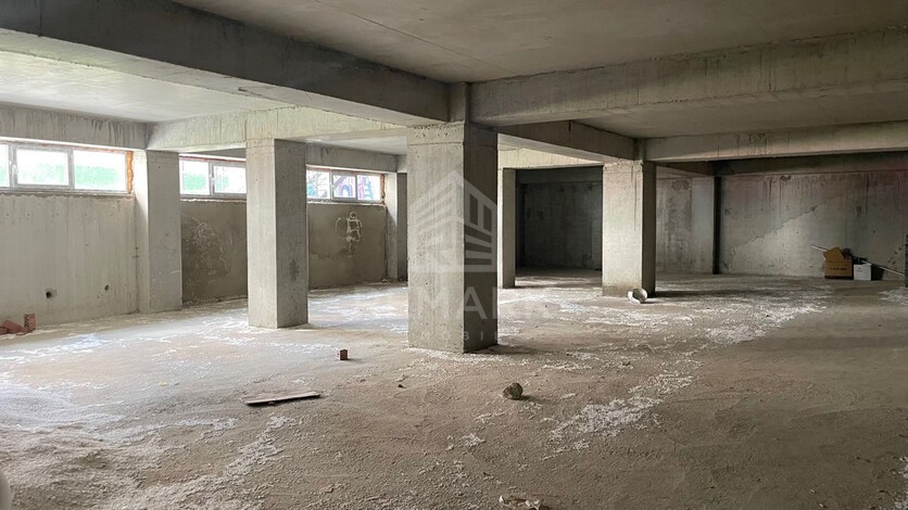 photo247994