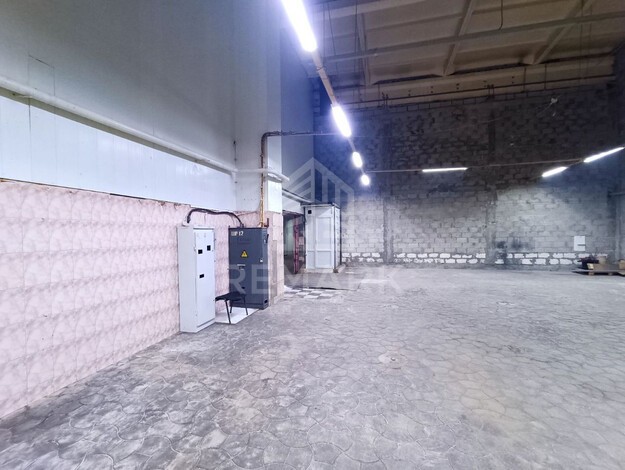photo249452