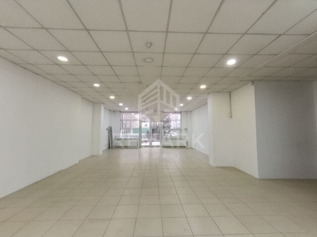 photo251673