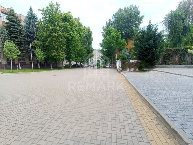 photo255180