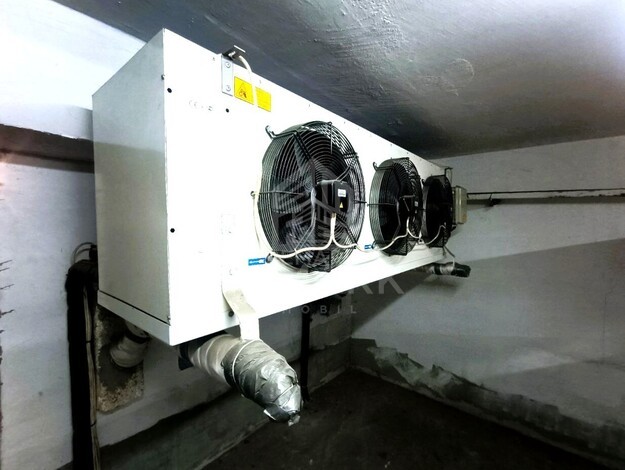 photo256224
