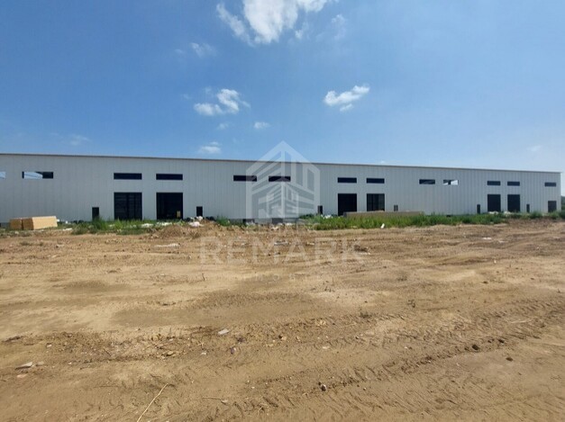 photo256999