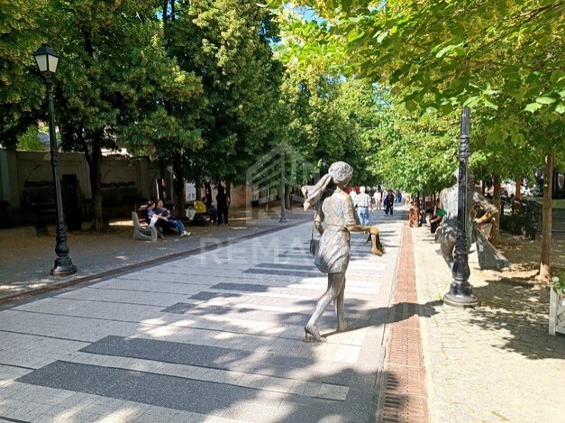 photo258727