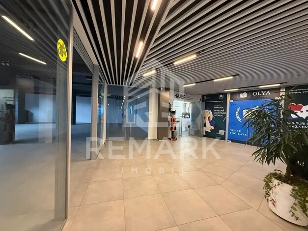 photo253862