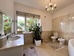 photo_low228807