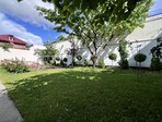 photo_low228817