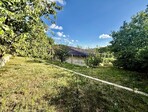 photo_low241740