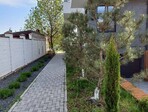 photo_low244625