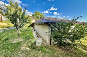 photo_19798
