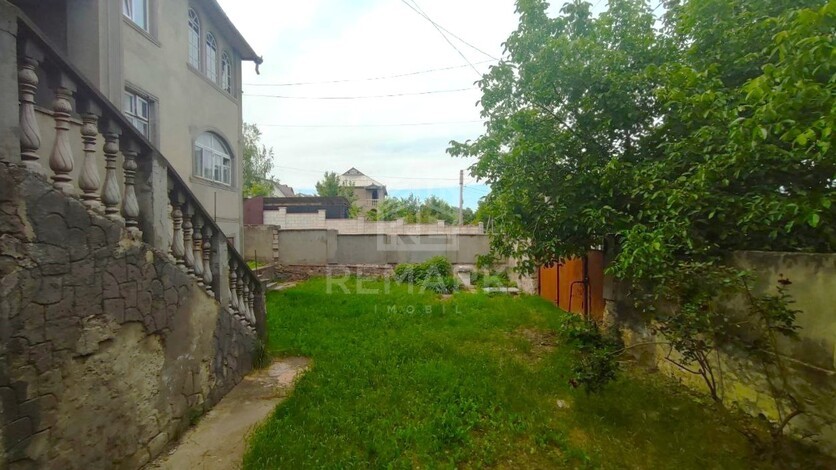 photo239682