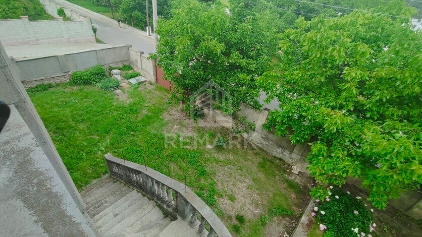photo239685