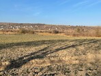 photo_low181275